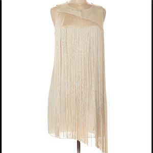 Rachel Roy Fringe Dress